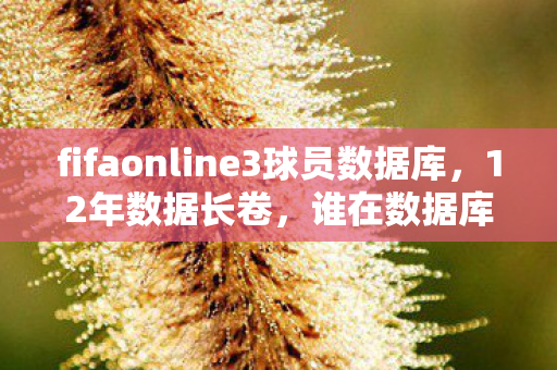 fifaonline3球员数据库,12年数据长卷,谁在数据库里藏了张永不褪色的全家福?泪目! fifaonline3球员数据库,12年数据长卷,谁在数据库里藏了张永不褪色的全家福?泪目!