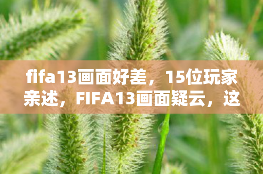 fifa13画面好差,15位玩家亲述,FIFA13画面疑云,这细节真让人绷不住! fifa13画面好差,15位玩家亲述,FIFA13画面疑云,这细节真让人绷不住!