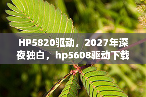 HP5820驱动,2027年深夜独白,hp5608驱动下载背后的伏笔,让我鼻子一酸 HP5820驱动,2027年深夜独白,hp5608驱动下载背后的伏笔,让我鼻子一酸