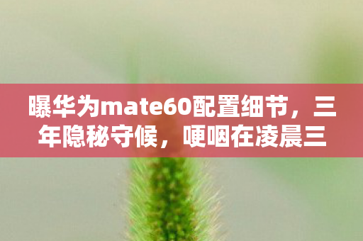 曝华为mate60配置细节,三年隐秘守候,哽咽在凌晨三点的配置曝光时长里 曝华为mate60配置细节,三年隐秘守候,哽咽在凌晨三点的配置曝光时长里