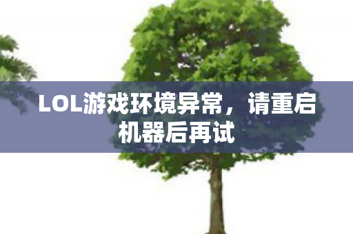 LOL游戏环境异常图片