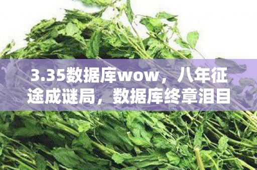 3.35数据库wow,八年征途成谜局,数据库终章泪目谢幕 3.35数据库wow,八年征途成谜局,数据库终章泪目谢幕