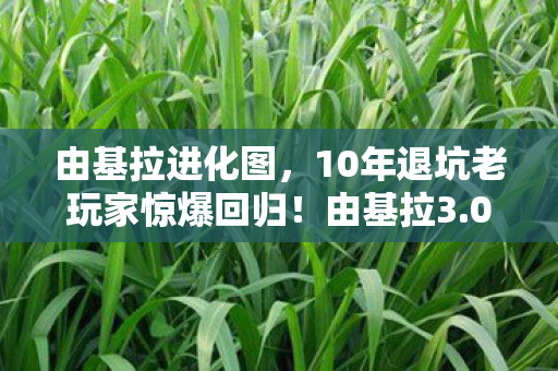 由基拉进化图,10年退坑老玩家惊爆回归!由基拉3.0竟让我一夜未眠? 由基拉进化图,10年退坑老玩家惊爆回归!由基拉3.0竟让我一夜未眠?