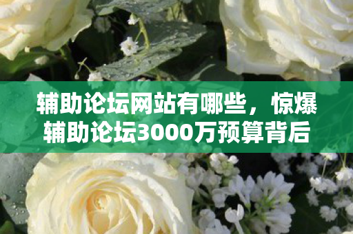 辅助论坛网站有哪些,惊爆辅助论坛3000万预算背后,竟藏着让策划组吓一跳的隐情! 辅助论坛网站有哪些,惊爆辅助论坛3000万预算背后,竟藏着让策划组吓一跳的隐情!