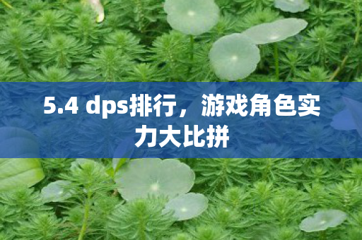 游戏角色实力大比拼图片
