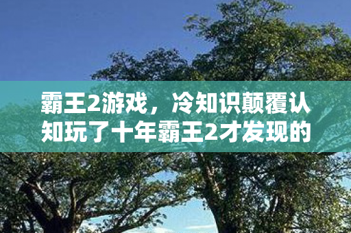 霸王2游戏,冷知识颠覆认知玩了十年霸王2才发现的目瞪口呆真相,我竟是个睁眼瞎! 霸王2游戏,冷知识颠覆认知玩了十年霸王2才发现的目瞪口呆真相,我竟是个睁眼瞎!