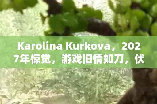 Karolina Kurkova,2027年惊觉,游戏旧情如刀,伏笔揭开时,鼻子一酸泪满襟 Karolina Kurkova,2027年惊觉,游戏旧情如刀,伏笔揭开时,鼻子一酸泪满襟