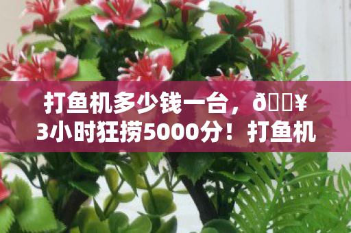 打鱼机多少钱一台,🔥3小时狂捞5000分!打鱼机新手逆袭成海王的暴爽体验 打鱼机多少钱一台,🔥3小时狂捞5000分!打鱼机新手逆袭成海王的暴爽体验