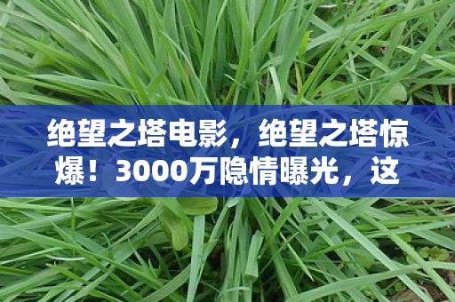 绝望之塔电影，绝望之塔惊爆！3000万隐情曝光，这数据一出真让人吓一跳！