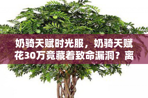 奶骑天赋时光服，奶骑天赋花30万竟藏着致命漏洞？离职老兵拍桌怒揭，老子当年差点被这方案送走！