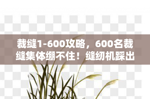 裁缝1-600攻略，600名裁缝集体绷不住！缝纫机踩出火星子竟因这离谱疑点？