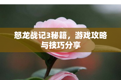 游戏攻略与技巧分享图片