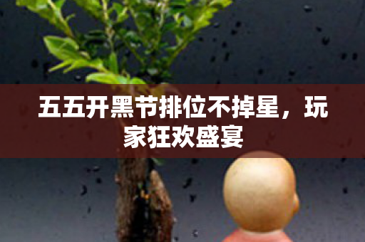 五五开黑节排位不掉星图片