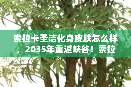 索拉卡圣洁化身皮肤怎么样,2035年重返峡谷!索拉卡圣洁化身隐藏的终极代价,你敢直面吗? 索拉卡圣洁化身皮肤怎么样,2035年重返峡谷!索拉卡圣洁化身隐藏的终极代价,你敢直面吗?