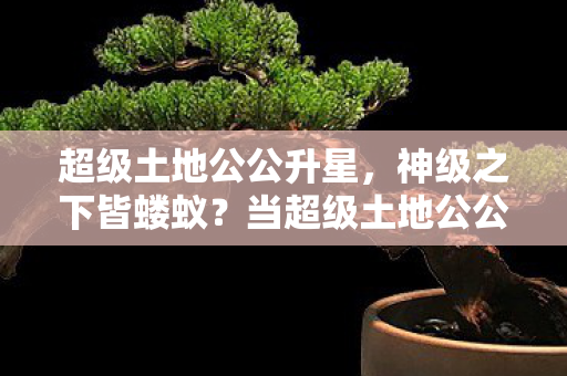 超级土地公公升星,神级之下皆蝼蚁?当超级土地公公的权柄撕裂中年生存法则 超级土地公公升星,神级之下皆蝼蚁?当超级土地公公的权柄撕裂中年生存法则