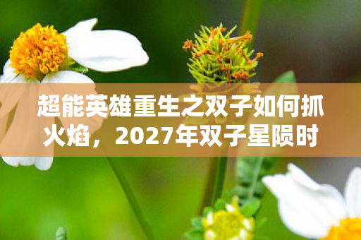 超能英雄重生之双子如何抓火焰,2027年双子星陨时,那句未说完的约定,让我鼻子一酸 超能英雄重生之双子如何抓火焰,2027年双子星陨时,那句未说完的约定,让我鼻子一酸