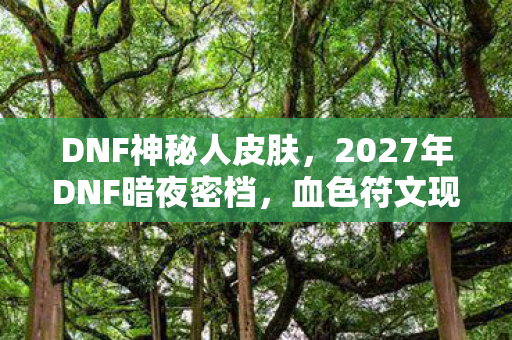 DNF神秘人皮肤，2027年DNF暗夜密档，血色符文现世，谁在操控玩家成悬案？