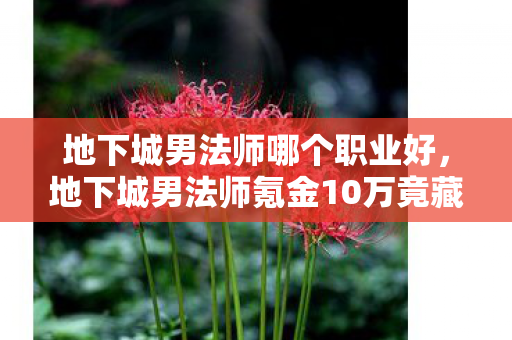 地下城男法师哪个职业好，地下城男法师氪金10万竟藏惊天隐情！离职老兵拍桌怒吼，这操作吓我一跳！
