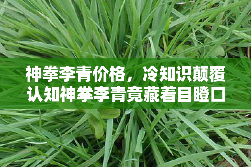 神拳李青价格,冷知识颠覆认知神拳李青竟藏着目瞪口呆的反重力设计! 神拳李青价格,冷知识颠覆认知神拳李青竟藏着目瞪口呆的反重力设计!