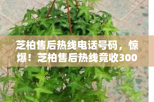 芝柏售后热线电话号码，惊爆！芝柏售后热线竟收3000元天价，背后隐情让人吓一跳！