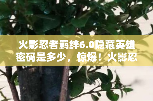 火影忍者羁绊6.0隐藏英雄密码是多少，惊爆！火影忍者羁绊6.0隐藏英雄密码竟值5000元？背后隐情吓你一跳！
