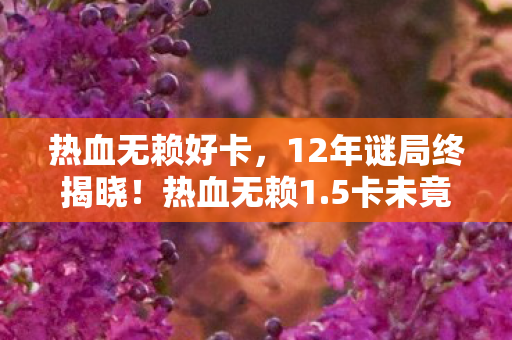 热血无赖好卡，12年谜局终揭晓！热血无赖1.5卡未竟之路为何让玩家泪目？