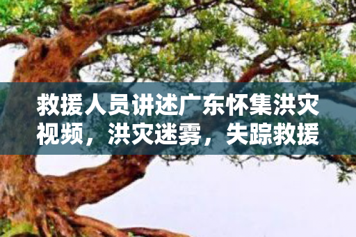 救援人员讲述广东怀集洪灾视频，洪灾迷雾，失踪救援线索背后的悬案，毛骨悚然真相待揭