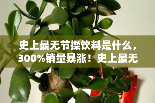 史上最无节操饮料是什么,300%销量暴涨!史上最无节操饮料如何撕碎传统赛道,唤醒Z世代久违的消费狂欢? 史上最无节操饮料是什么,300%销量暴涨!史上最无节操饮料如何撕碎传统赛道,唤醒Z世代久违的消费狂欢?