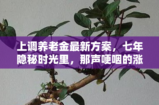 上调养老金最新方案,七年隐秘时光里,那声哽咽的涨了 上调养老金最新方案,七年隐秘时光里,那声哽咽的涨了