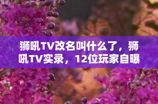 狮吼TV改名叫什么了,狮吼TV实录,12位玩家自曝游戏黑历史,第7个回答让记者当场绷不住! 狮吼TV改名叫什么了,狮吼TV实录,12位玩家自曝游戏黑历史,第7个回答让记者当场绷不住!