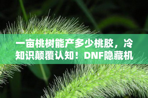 一亩桃树能产多少桃胶,冷知识颠覆认知!DNF隐藏机制大揭秘,目瞪口呆的炸弹级真相 一亩桃树能产多少桃胶,冷知识颠覆认知!DNF隐藏机制大揭秘,目瞪口呆的炸弹级真相