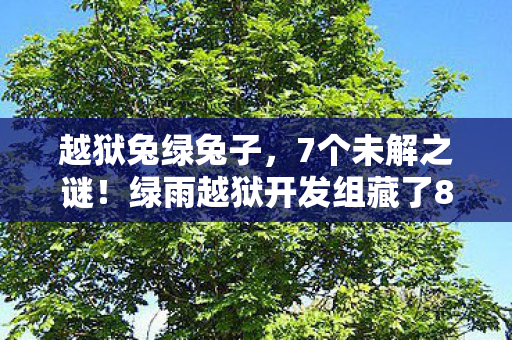 越狱兔绿兔子,7个未解之谜!绿雨越狱开发组藏了8年的真相,玩家集体破防 越狱兔绿兔子,7个未解之谜!绿雨越狱开发组藏了8年的真相,玩家集体破防