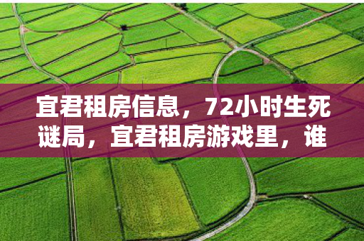 宜君租房信息,72小时生死谜局,宜君租房游戏里,谁在2027年3月15日泪目离场? 宜君租房信息,72小时生死谜局,宜君租房游戏里,谁在2027年3月15日泪目离场?