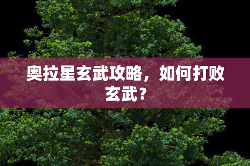 奥拉星玄武攻略图片