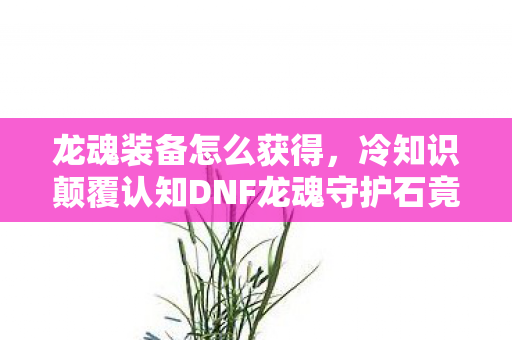 龙魂装备怎么获得，冷知识颠覆认知DNF龙魂守护石竟藏着目瞪口呆的自毁程序！