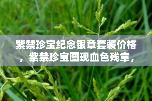 紫禁珍宝纪念银章套装价格,紫禁珍宝图现血色残章,2027年悬案,谁在镜中凝视千年亡魂? 紫禁珍宝纪念银章套装价格,紫禁珍宝图现血色残章,2027年悬案,谁在镜中凝视千年亡魂?