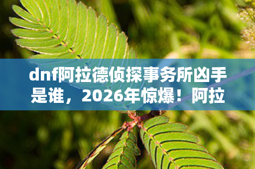 dnf阿拉德侦探事务所凶手是谁，2026年惊爆！阿拉德侦探事务所凶手竟是TA？真相令人窒息！