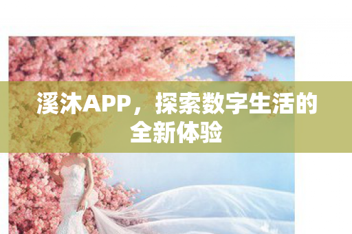 探索数字生活的全新体验图片