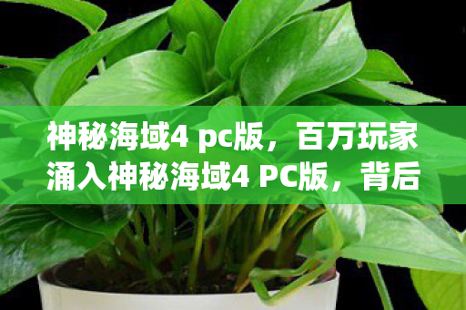 神秘海域4 pc版,百万玩家涌入神秘海域4 PC版,背后谜团竟让全网集体破防! 神秘海域4 pc版,百万玩家涌入神秘海域4 PC版,背后谜团竟让全网集体破防!