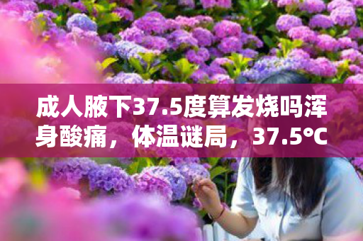 成人腋下37.5度算发烧吗浑身酸痛,体温谜局,37.5℃的悬案,是疾病预兆还是毛骨悚然的游戏陷阱? 成人腋下37.5度算发烧吗浑身酸痛,体温谜局,37.5℃的悬案,是疾病预兆还是毛骨悚然的游戏陷阱?