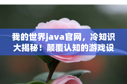 我的世界java官网，冷知识大揭秘！颠覆认知的游戏设计，让你目瞪口呆！