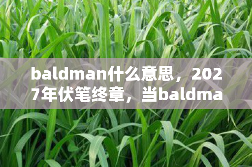 baldman什么意思，2027年伏笔终章，当baldman的ID熄灭，鼻子一酸想起那句我等你
