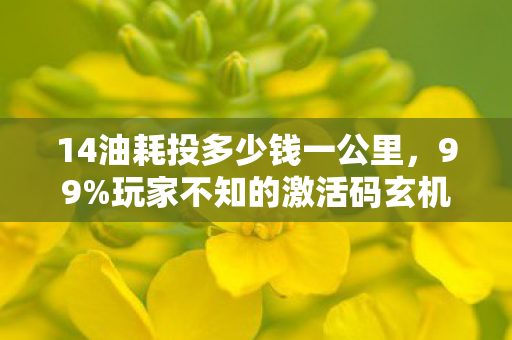 14油耗投多少钱一公里,99%玩家不知的激活码玄机,当狂喜撞碎现实,谁在暗处偷笑? 14油耗投多少钱一公里,99%玩家不知的激活码玄机,当狂喜撞碎现实,谁在暗处偷笑?