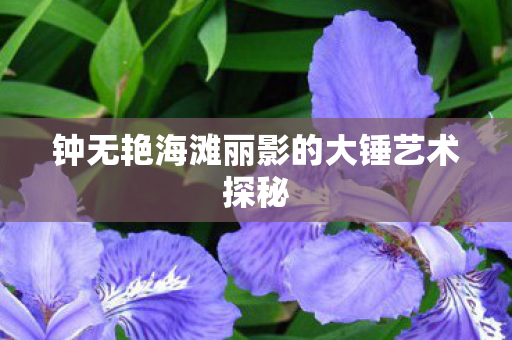 钟无艳海滩丽影的大锤艺术探秘图片