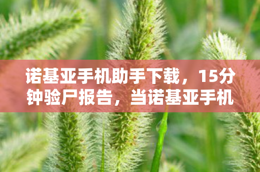 诺基亚手机助手下载，15分钟验尸报告，当诺基亚手机助手在2027年停止心跳，谁在墓碑前刻下用户已读？