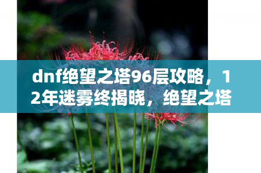 dnf绝望之塔96层攻略，12年迷雾终揭晓，绝望之塔96层谜题与跨越时空的泪目真相
