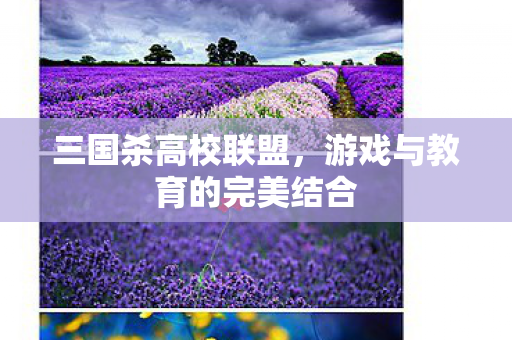 游戏与教育的完美结合图片