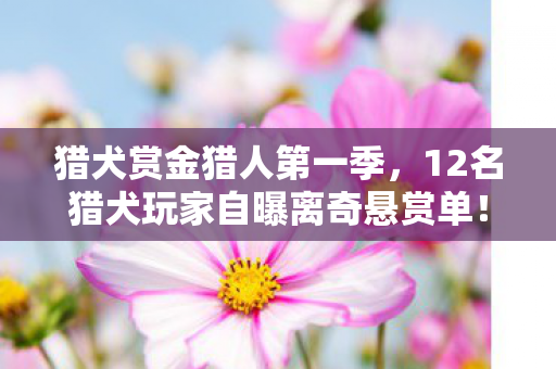 猎犬赏金猎人第一季,12名猎犬玩家自曝离奇悬赏单!追踪目标竟是……这反转我当场绷不住 猎犬赏金猎人第一季,12名猎犬玩家自曝离奇悬赏单!追踪目标竟是……这反转我当场绷不住