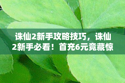 诛仙2新手攻略技巧，诛仙2新手必看！首充6元竟藏惊天隐情，看完吓一跳！