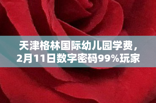 天津格林国际幼儿园学费,2月11日数字密码99%玩家卡关的瞬间,我摸到了游戏策划的眼泪 天津格林国际幼儿园学费,2月11日数字密码99%玩家卡关的瞬间,我摸到了游戏策划的眼泪